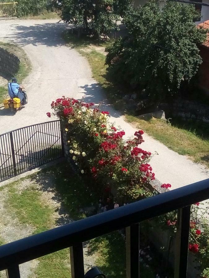 Hotel Sobe Seka Golubac Exterior foto